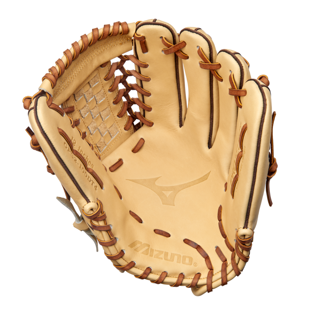 Mizuno premier top pro glove