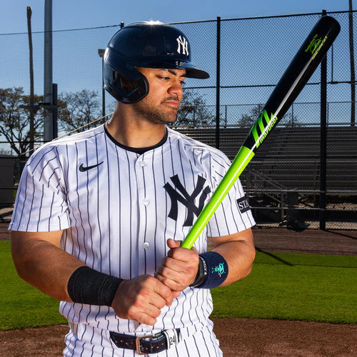 Marucci Jason Dominguez Pro Model Maple Wood Bat MARTIAN