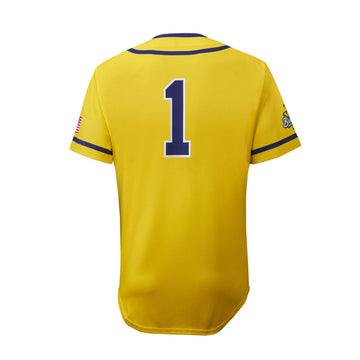 Abstract Savanna Baseball Jersey - Toddler