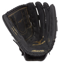 Mizuno Premier GPM1405 14 in Slowpitch Softball Glove Baseball Bargains